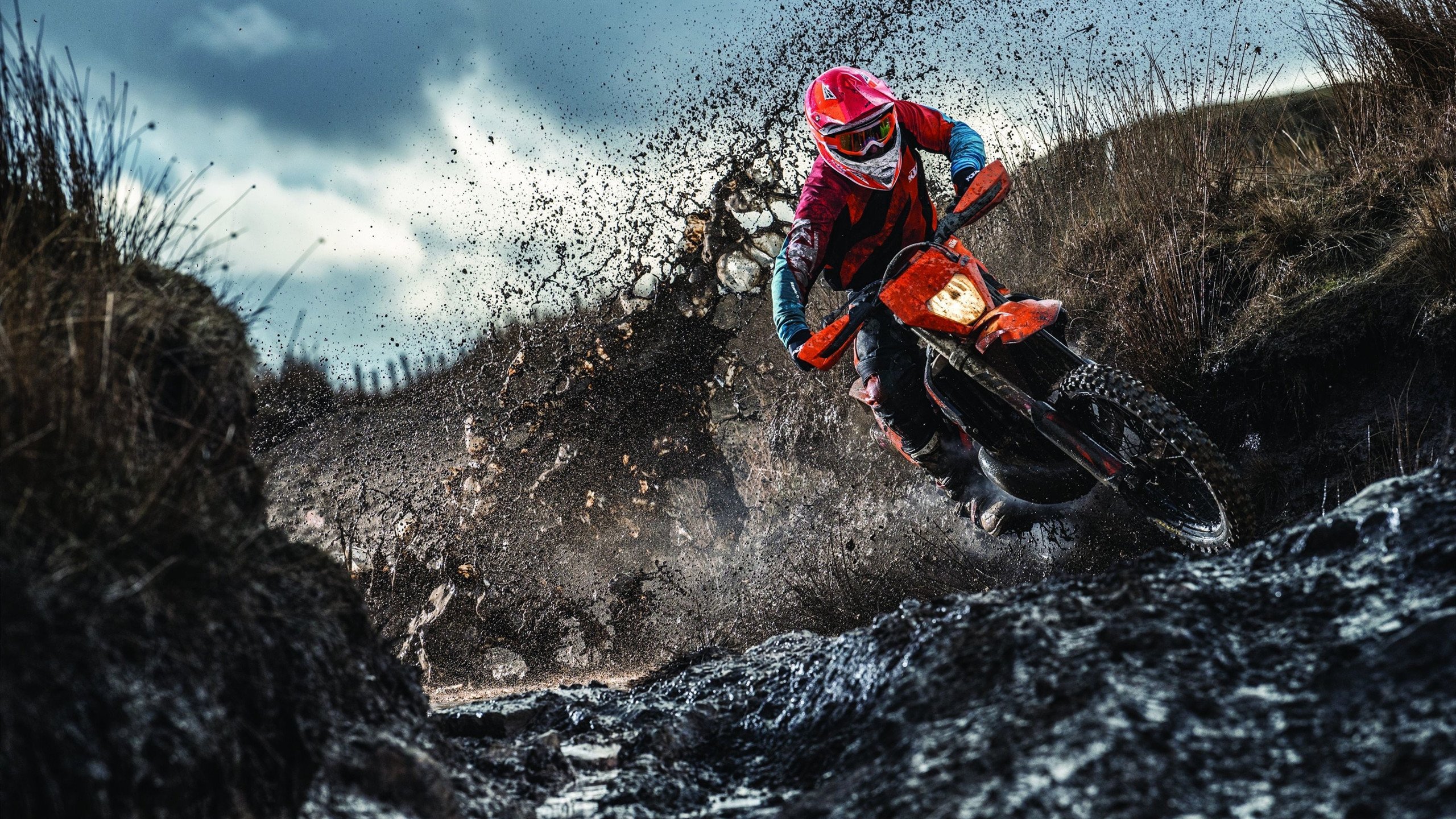 开云在线直播-法国记者惊叹：伊朗的冷静来自炎热土地？，伊朗foroughi